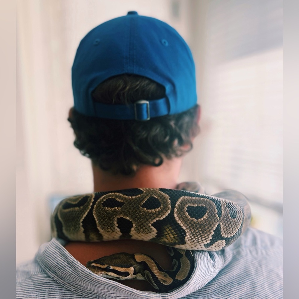 Meet your Posher, Jason